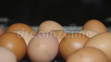 新鲜和生鸡蛋在传送带上，被移到包装屋。 消费主义，鸡蛋生产，自动化